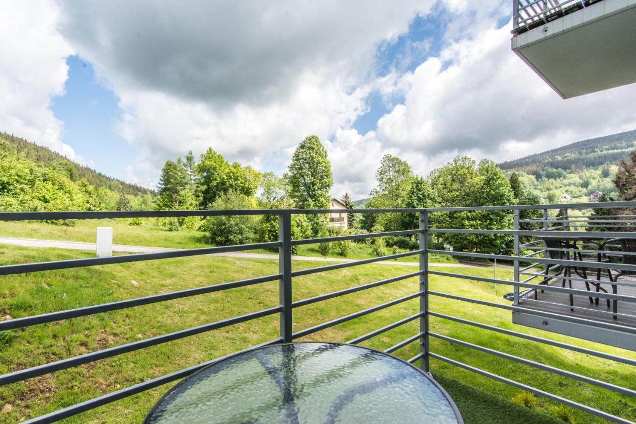 Apartamenty Izerskie - Ul. Cicha 13H-I Świeradów-Zdrój Buitenkant foto