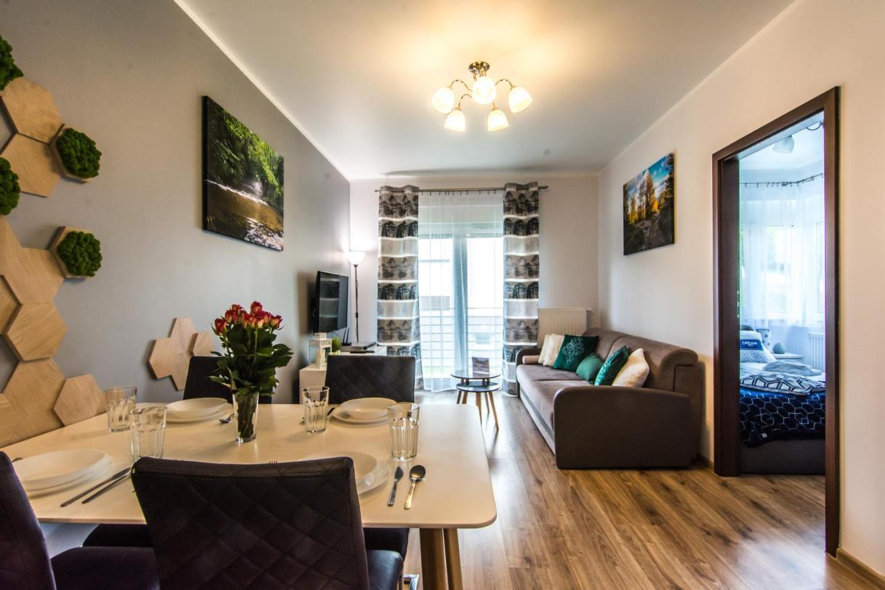 Apartamenty Izerskie - Ul. Cicha 13H-I Świeradów-Zdrój Buitenkant foto